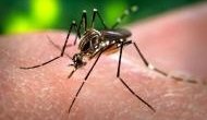 Rajasthan: 29 Zika virus positive cases including three pregnant women reported