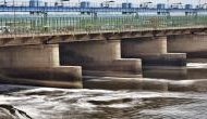 Will hold DDA responsible if Yamuna's biodiversity gets affected, says NGT