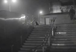 Delhi dog killer caught on camera: After Shaktiman, another shocking act of animal cruelty 