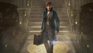 Harry Potter director David Yates may not work on Fantastic Beasts & Where to Find Them sequels 