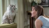 Nine Lives movie review: Kevin Spacey starrer isn't even catnip for cat lovers 