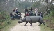 Assam: 2 killed in police firing during Kaziranga eviction 