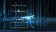 Luna Lovegood got salmon, JK Rowling got heron. Find out what your Patronus is 