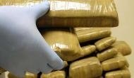 Chinese held at Delhi airport for smuggling red sanders