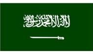 Saudi Arabia-led coalition criticises United Nations Yemen rights mission