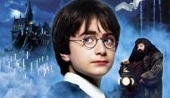 Turns out, there were two Harry Potters all along!