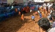 Jallikattu: 19-year-old gored to death by bull