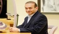 Interpol notice issued against Nirav Modi's sister Purvi Modi