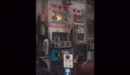 OMG! People on the street filmed a man getting intimate with his partner in the flat; later saw something that blew their mind!