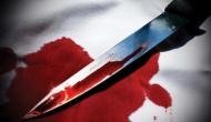 Delhi: Online friendship to murder! IPL gambler kills ex-IAF pilot’s wife; mystery murder resolved