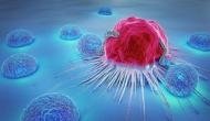 Anti-parasitic drug may help fight skin cancer: Study