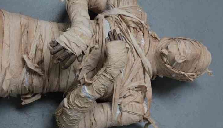 body found in wooden box