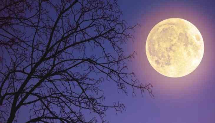 Moon