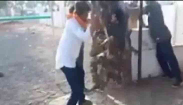 MP gau rakshaks thrash men