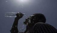 Weather update: Temp likely to rise in North India; parts of Karnataka, Kerala, TN to experience rainfall 