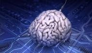 Scientists find genes that help cancer cells to penetrate brain 