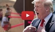 Video: Artists install seesaws on US-Mexico border in an attempt to protests against Donald Trump; Netizens applaud idea