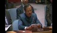 India urges world to adopt anti-terror policy 'without any further delay'