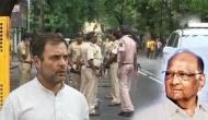 Rahul Gandhi backs NCP chief Sharad Pawar in money laundering case 