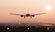 Felt like a 'Maharaja': Lone flyer on Air India international flight to Dubai