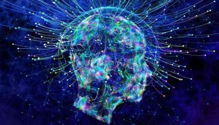 brain