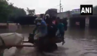 Gautam Gambhir takes potshot at Delhi government over bullock cart on flooded Delhi road [video]