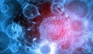 Scientists drive detailed study into how cancer cells spread