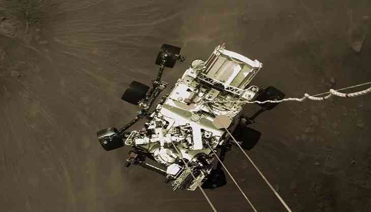 rover
