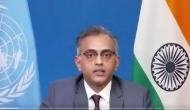 India at UN: India to send second batch of medicines to Palestine as COVID-19 assistance
