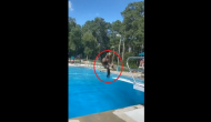 Woman’s wig falls off her head after she jumps into pool; funny video goes viral