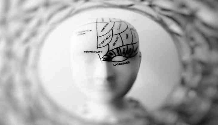 brain