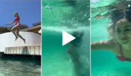 Have you seen this stunning video of Shahid Kapoor’s wife Mira Rajput?
