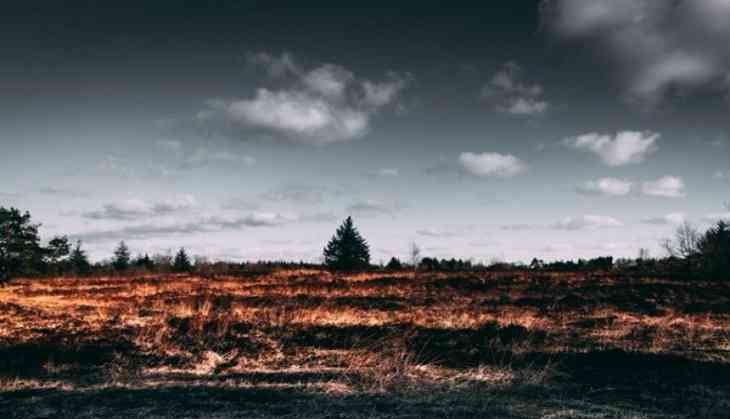 forest_Fire
