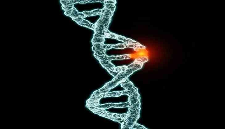 genes