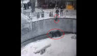 Mother throws her little daughter into bear enclosure; horrifying video goes viral