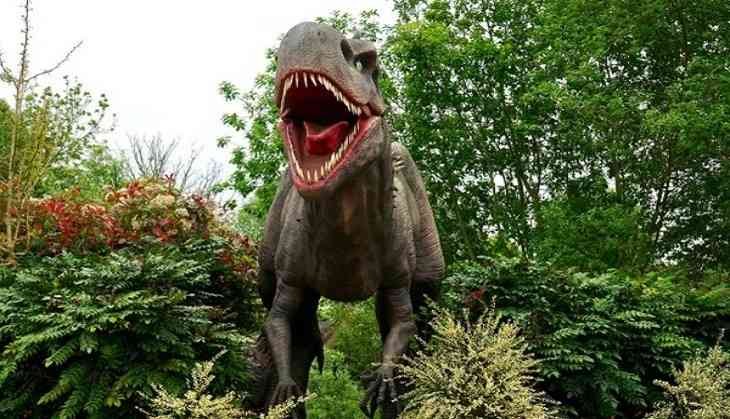 dinosaur