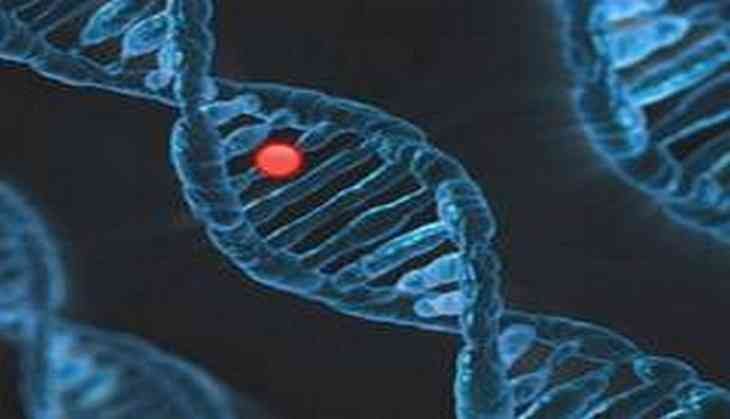 One way cells can control the activities of their genes is by adding small chemical modifications to the DNA that determine which genes are turned on or off. Methyl groups are one of these chemical modifications or tags.