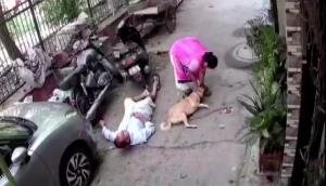 Delhi shocker: Man brutally attacks neighbour with rod over barking pet dog [Watch]