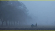 Weather Alert: Cold wave continues to haunt north India: Rain likely in these states; check full forecast
