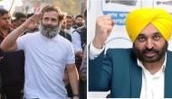 War of words after 'remote control' jibe: Don't speak rubbish Rahul Ji, says Punjab CM Bhagwant Mann