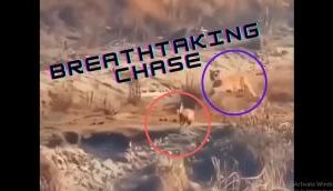 Video: When the luck is on your side!