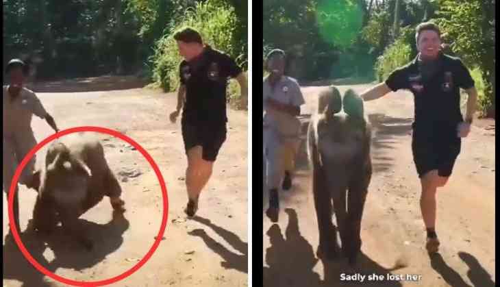 Life lesson from this baby elephant