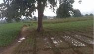 Gujarat: 24 people killed in lightning strikes amid unseasonal rainfall
