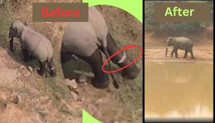 Nandankanan Zoological Park