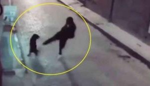 Instant Karma Moment: Man’s Brutal Kick Backfires