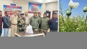 Opium farming racket busted in Punjab