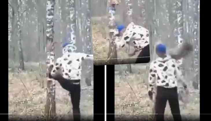 Man Hits Tree, Gets Hit Back