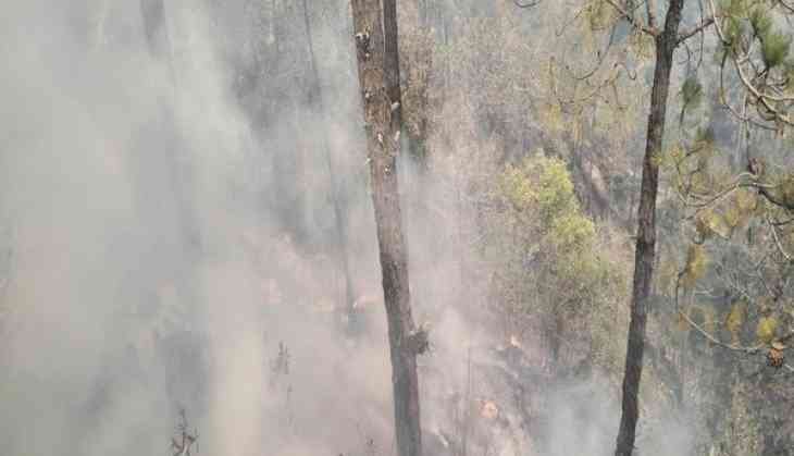 Forest fire incident near Sankat Mochan temple in Himachal Pradesh's Shimla