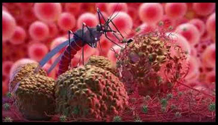 Domestic Animal Samples to Be Tested