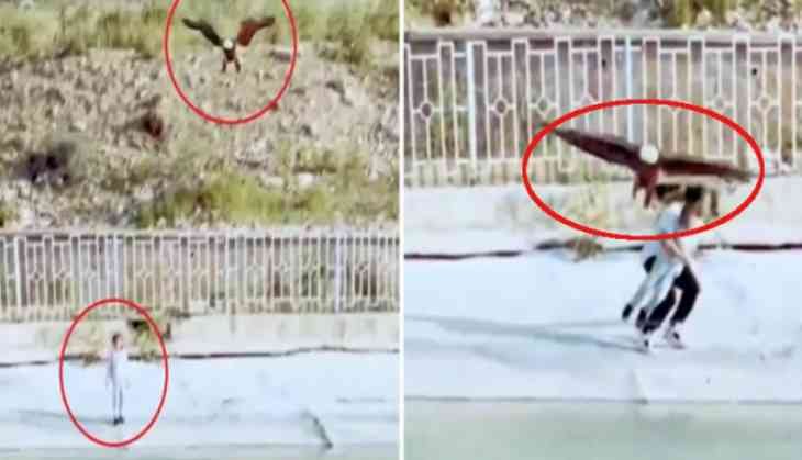 Eagle Tries to Snatch Child